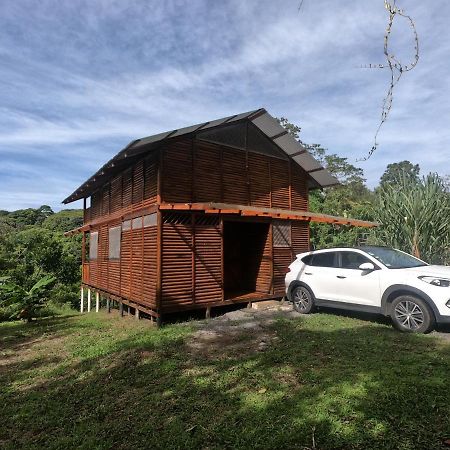 Eco Guest House - Sarapiqui 1 Dış mekan fotoğraf