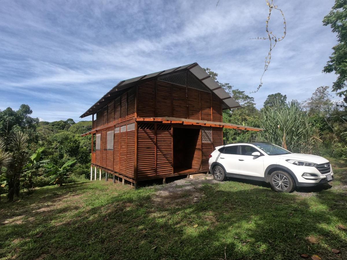 Eco Guest House - Sarapiqui 1 Dış mekan fotoğraf