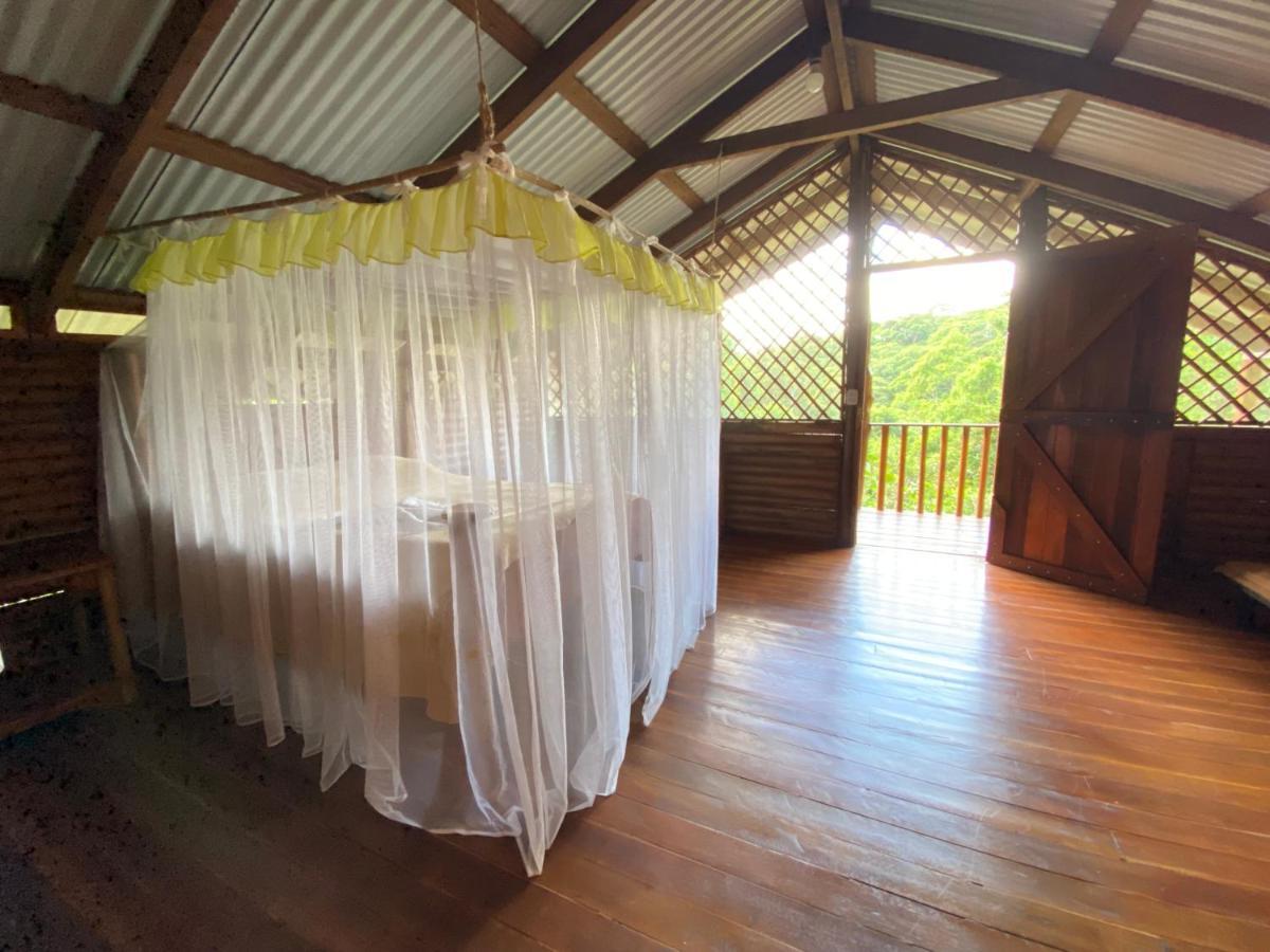 Eco Guest House - Sarapiqui 1 Dış mekan fotoğraf