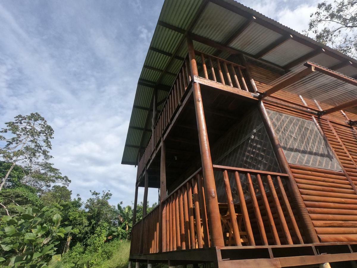 Eco Guest House - Sarapiqui 1 Dış mekan fotoğraf