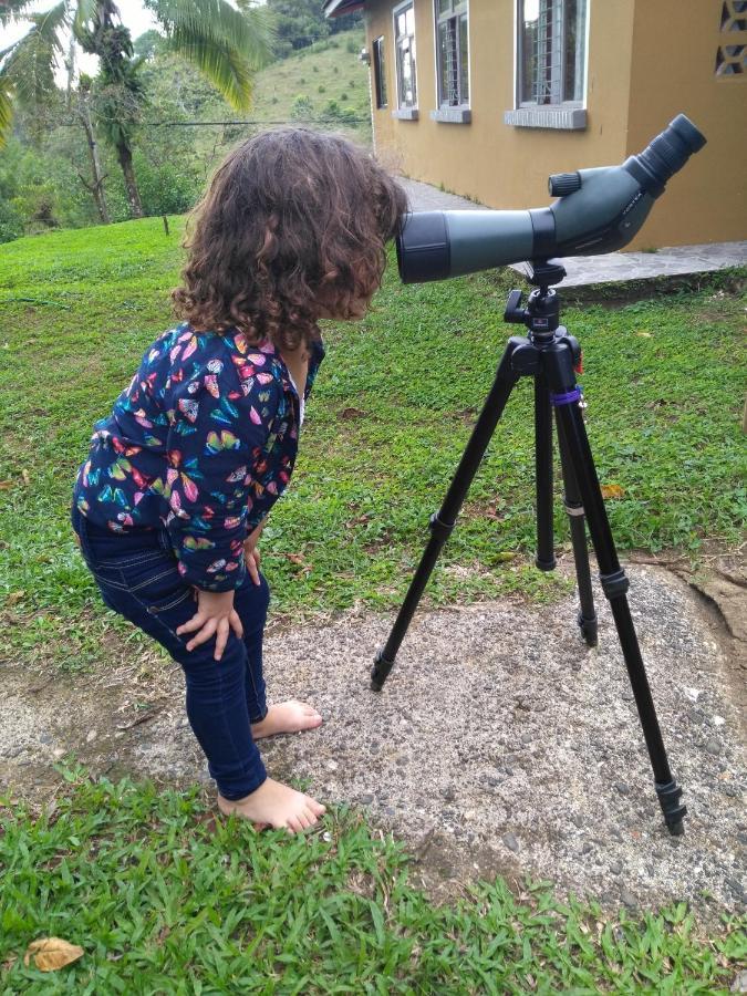 Eco Guest House - Sarapiqui 1 Dış mekan fotoğraf